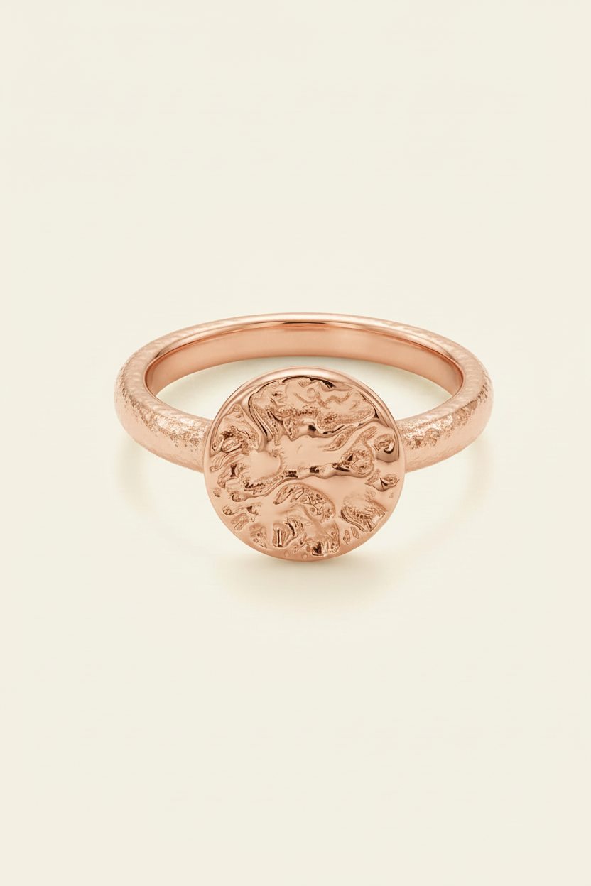 Celestial Orbit Ring - Rose Gold - Front View